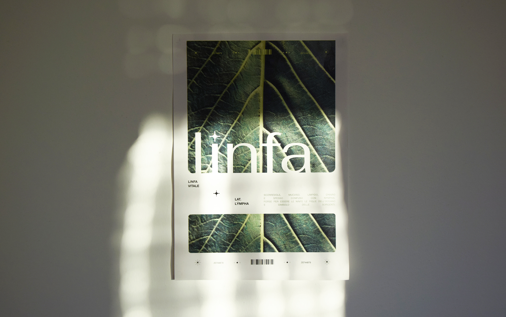 Linfa poster on the wall