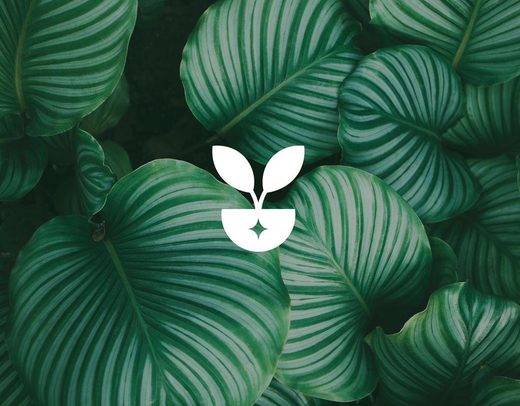 ILeaf logo on a green background